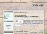 IBSI-US.COM Affordable Custom Web site design Tampa Florida